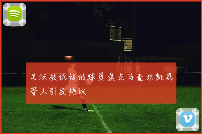 足坛被低估的球员盘点马奎尔凯恩等人引发热议